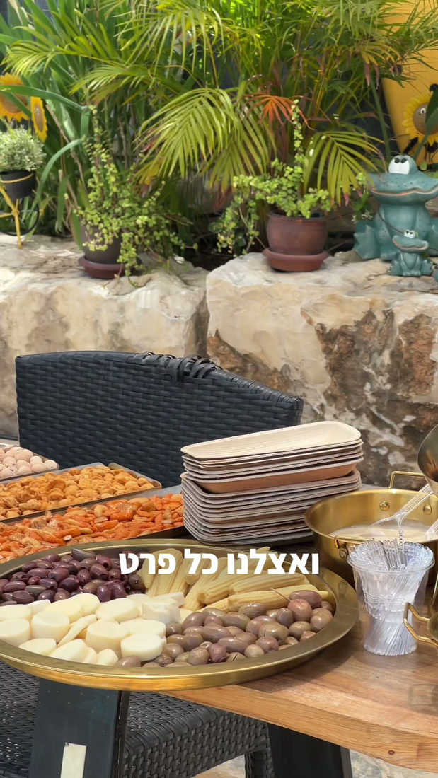 תוכנית editit